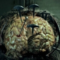 rutube Evil--Indide